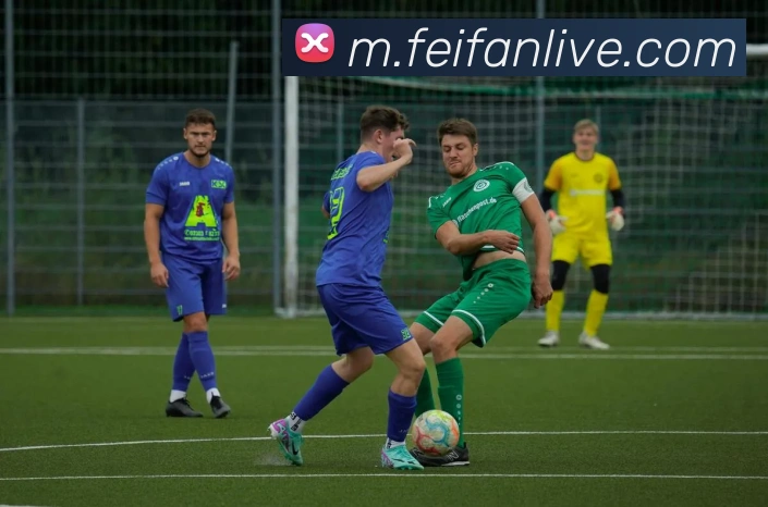 杰伦布朗盛赞安芬尼西蒙斯本赛季精彩表现展现无与伦比的实力